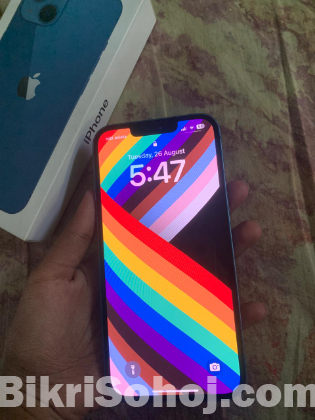 Apple 13